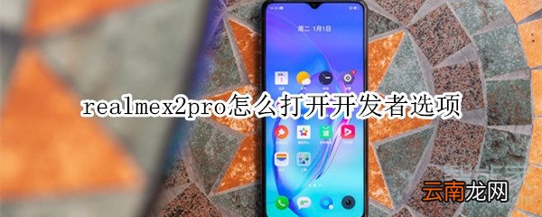 realmex2pro怎么打开开发者选项