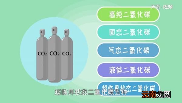 二氧化碳的性质 二氧化碳有什么特点