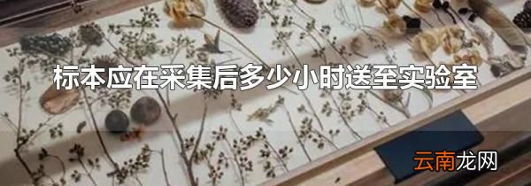 标本应在采集后多少小时送至实验室