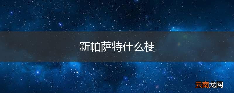 新帕萨特什么梗