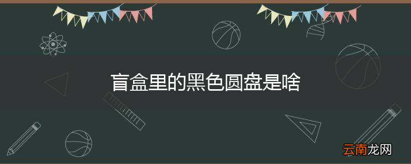 盲盒里的黑色圆盘是啥