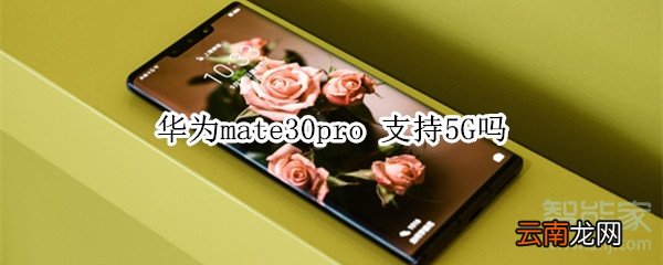 华为mate30pro 支持5G吗