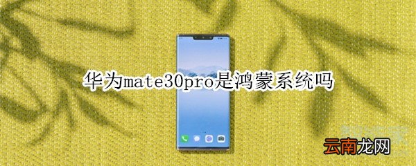 华为mate30pro是鸿蒙系统吗