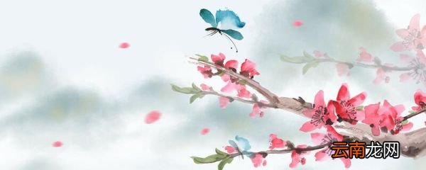 江畔独步寻花后两句交代了什么 江畔独步寻花表达了诗人什么