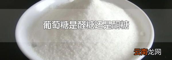 葡萄糖是醛糖还是酮糖