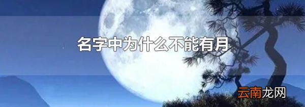 名字中为什么不能有月