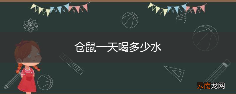 仓鼠一天喝多少水