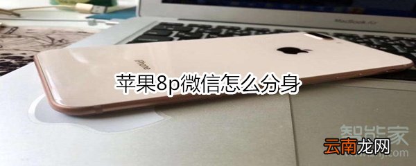 苹果8p微信怎么分身