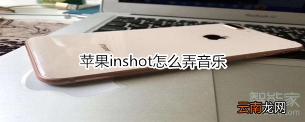 苹果inshot怎么弄音乐