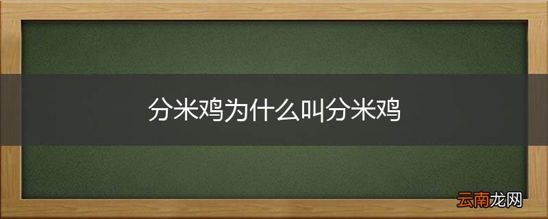 分米鸡为什么叫分米鸡