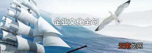企业文化金句