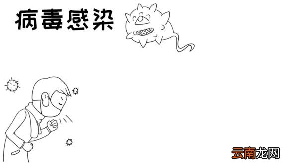 病毒感染手抄报怎么画