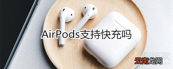 airpods支持快充吗