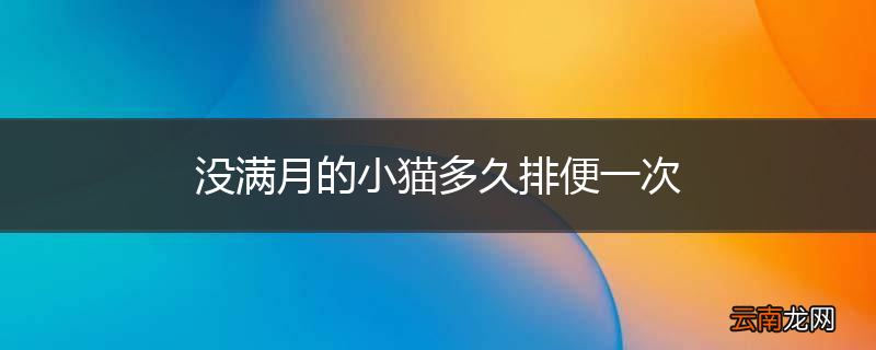 没满月的小猫多久排便一次