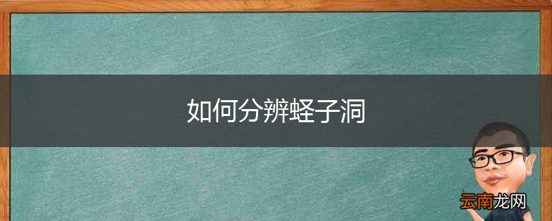 如何分辨蛏子洞