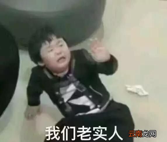 老实人是什么梗?