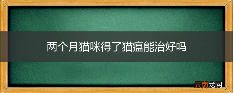 两个月猫咪得了猫瘟能治好吗