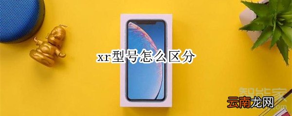 xr型号怎么区分