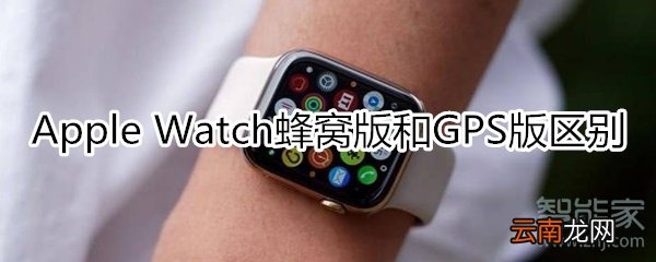 apple watchgps和蜂窝的区别是什么