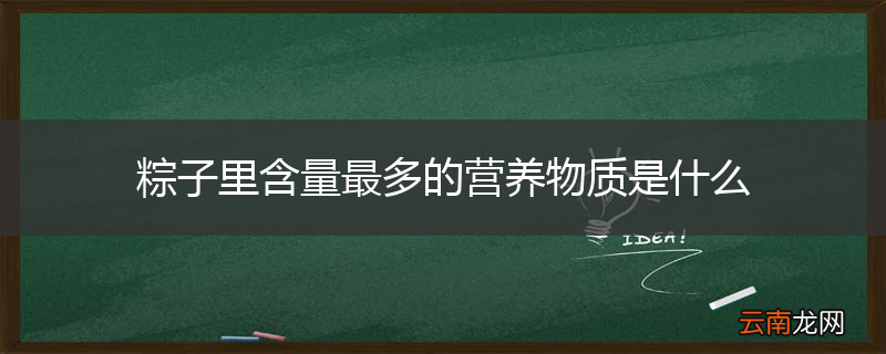 粽子里含量最多的营养物质是什么