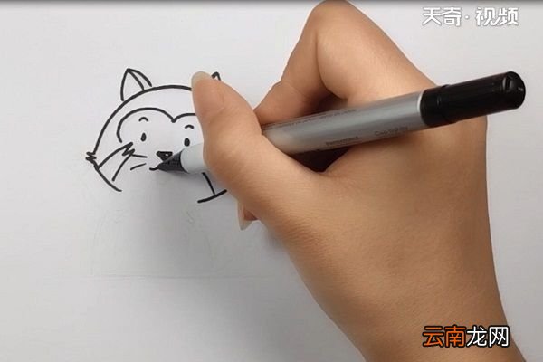 浣熊简笔画
