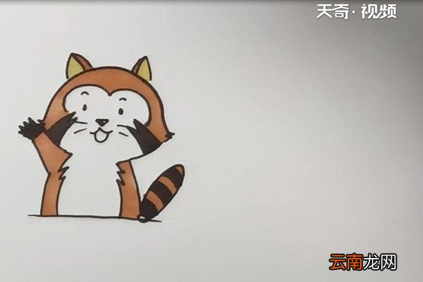浣熊简笔画