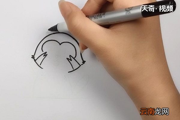 浣熊简笔画