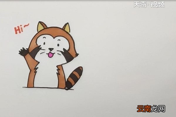 浣熊简笔画