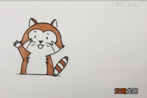 浣熊简笔画