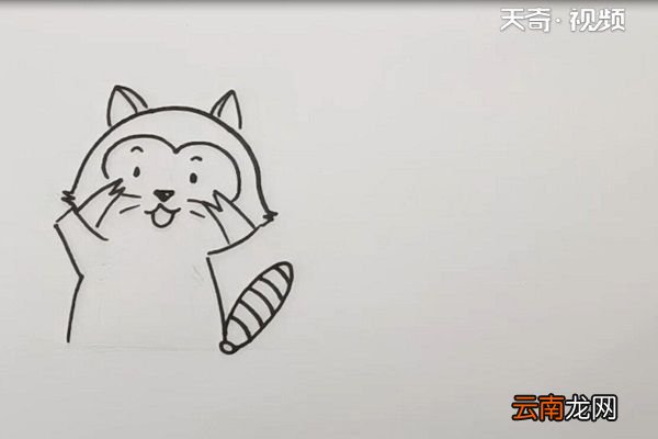 浣熊简笔画