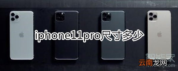 iPhone11pro尺寸