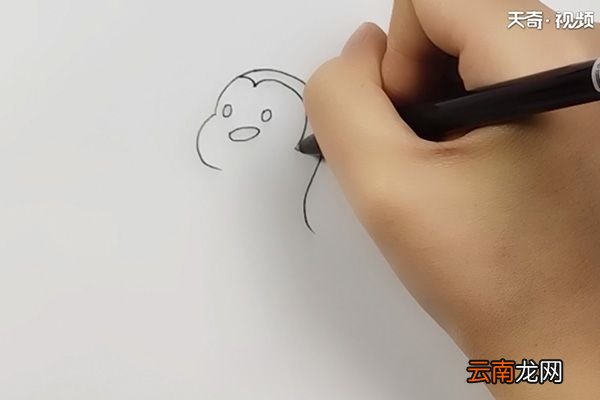 企鹅宝宝简笔画