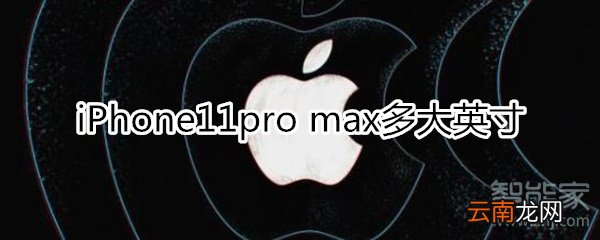 iPhone11max多大英寸