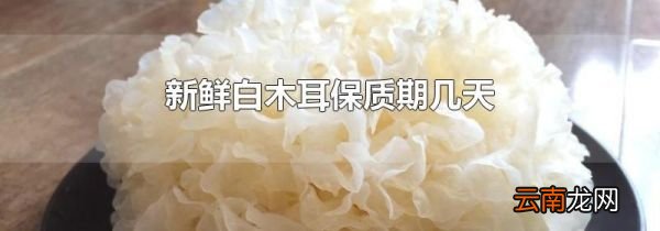 新鲜白木耳保质期几天