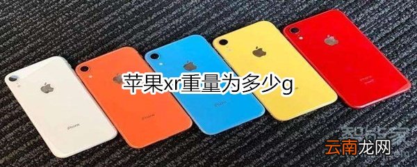 苹果xr重量为多少g