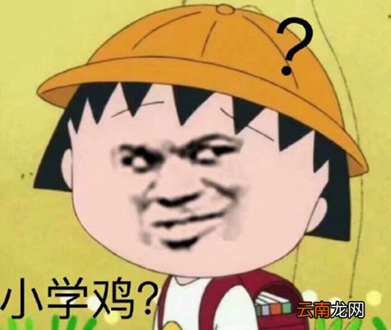 网络语言xxs是什么意思？