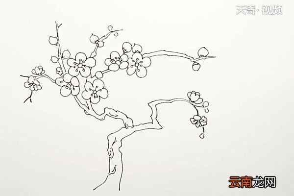 桃树简笔画