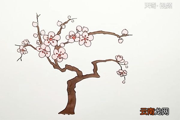 桃树简笔画