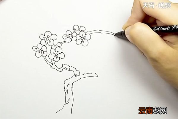 桃树简笔画