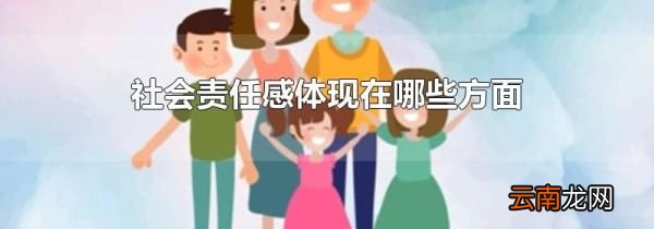 社会责任感体现在哪些方面