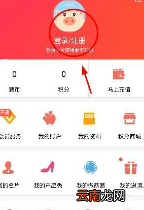 小猪导航app详细注册步骤介绍