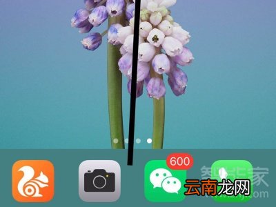 苹果x声音小怎么调