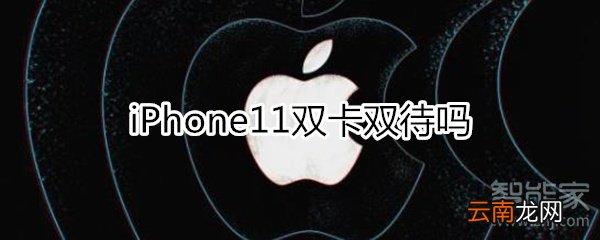 iPhone11双卡双待吗