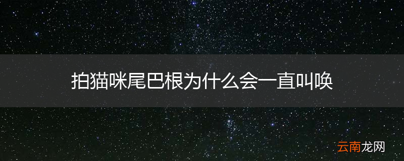 拍猫咪尾巴根为什么会一直叫唤