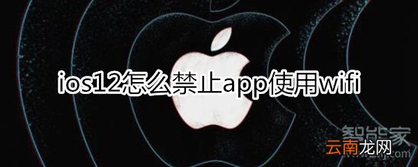 ios12禁止app使用wifi