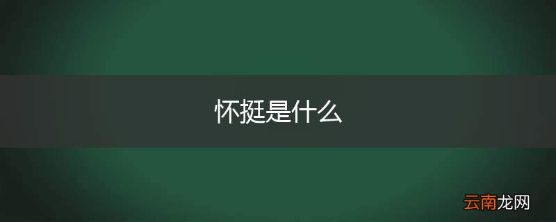 怀挺是什么