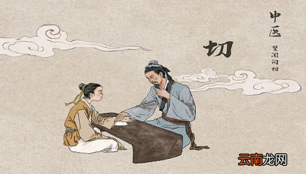 唐本草是谁写的 《唐本草》简介