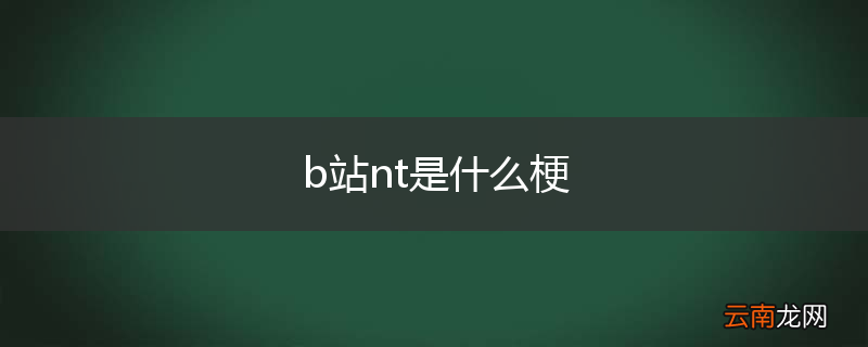 b站nt是什么梗