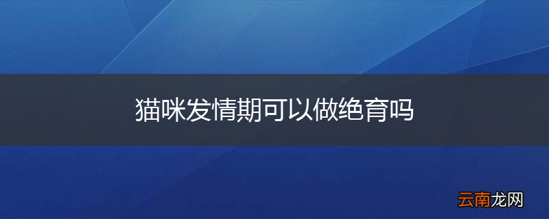 猫咪发情期可以做绝育吗
