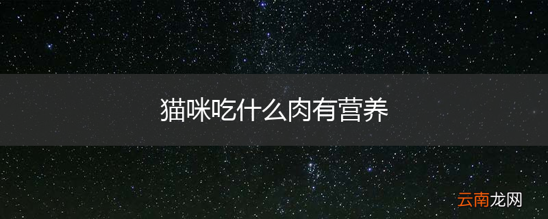 猫咪吃什么肉有营养